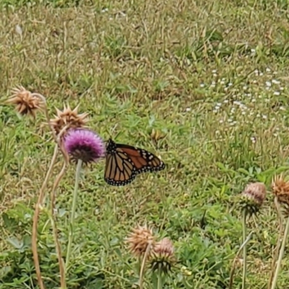 Meet your Posher, Christina - Picture 6 of 7